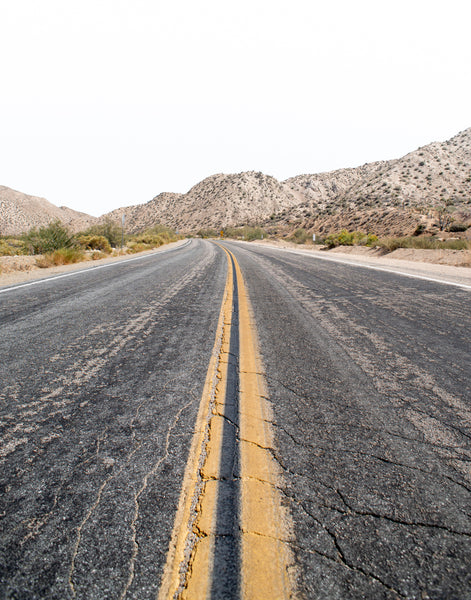 Joshua Tree, California photography with clean and minimal aesthetic. Desert, travel, cactus inspired.