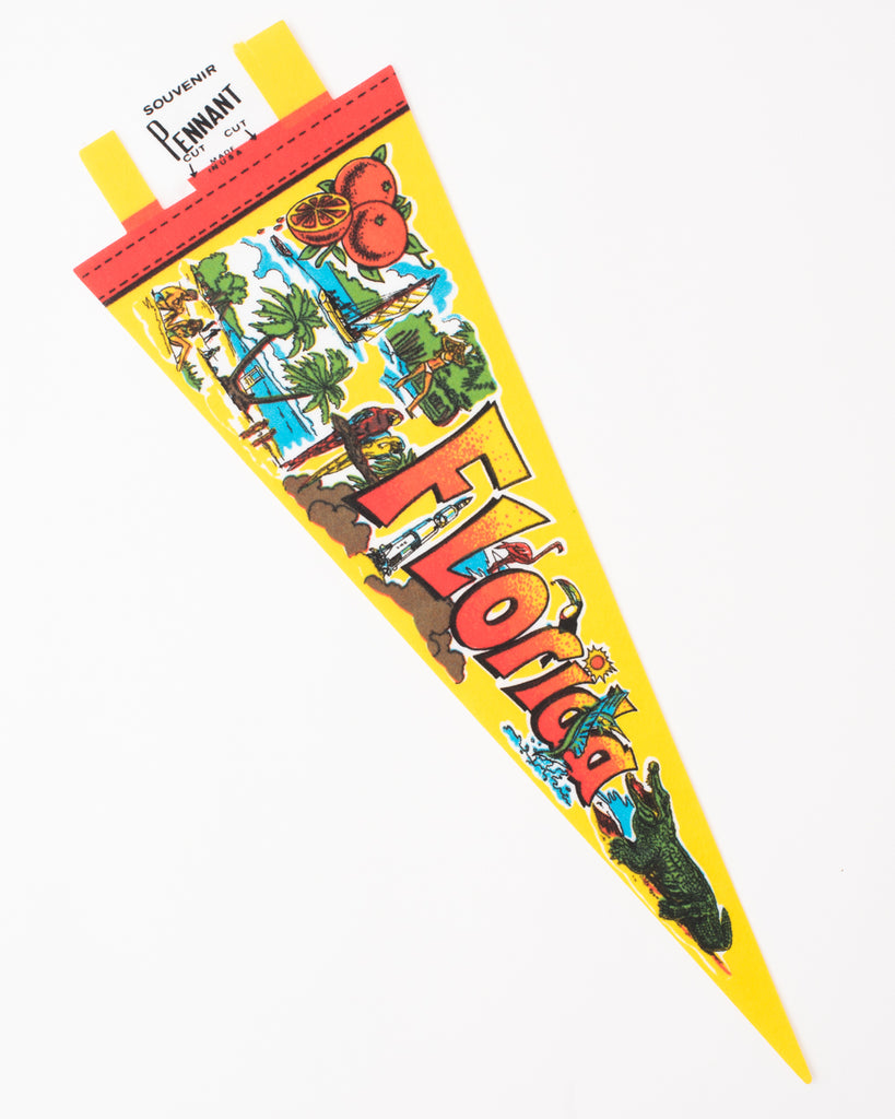 vintage bright colored state pennant flag with florida illustration