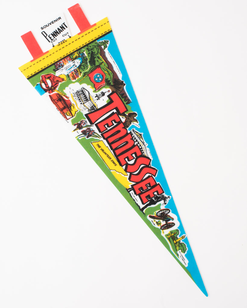 vintage bright color state pennant flag with tennessee illustration