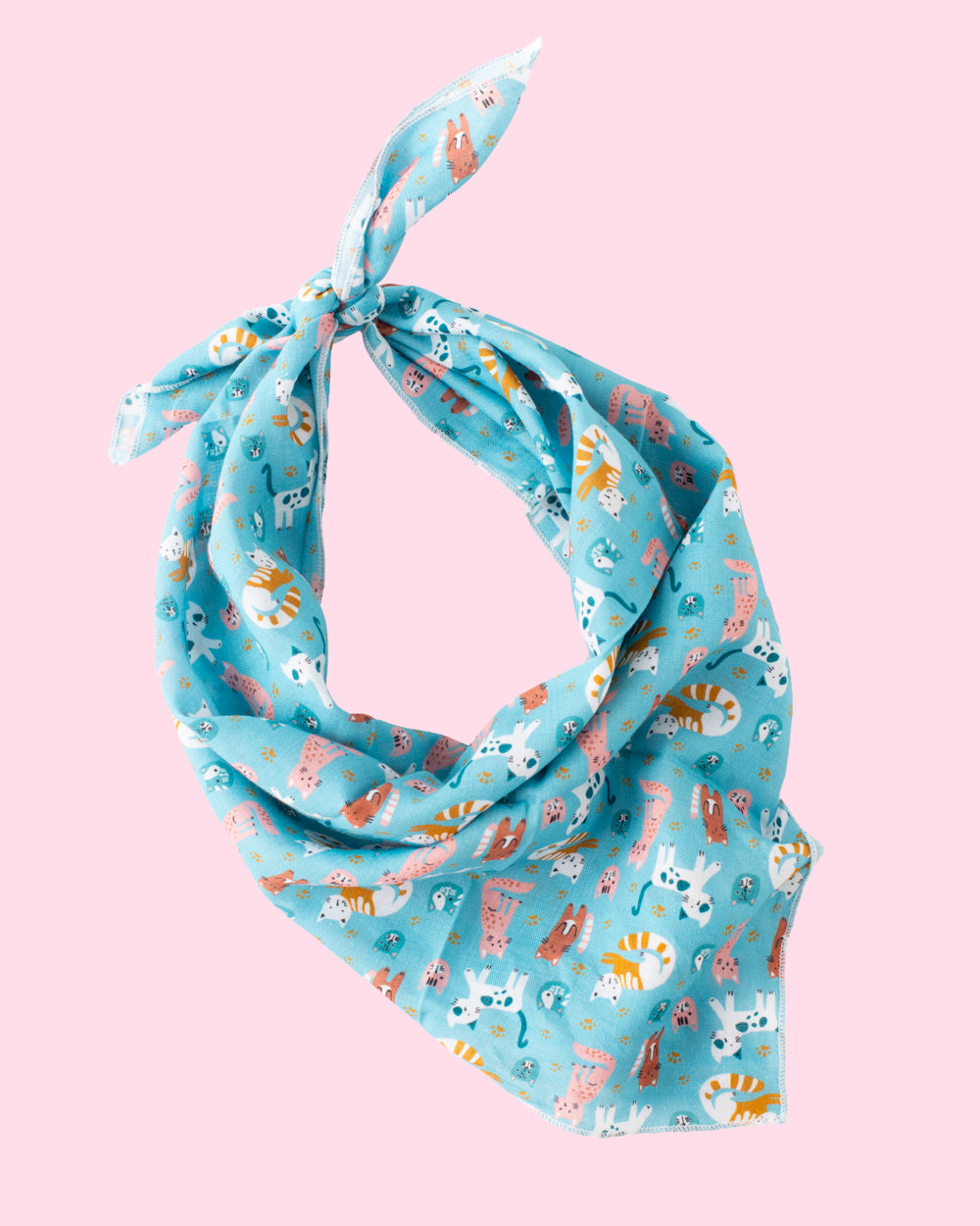 Cat Nap Bandana