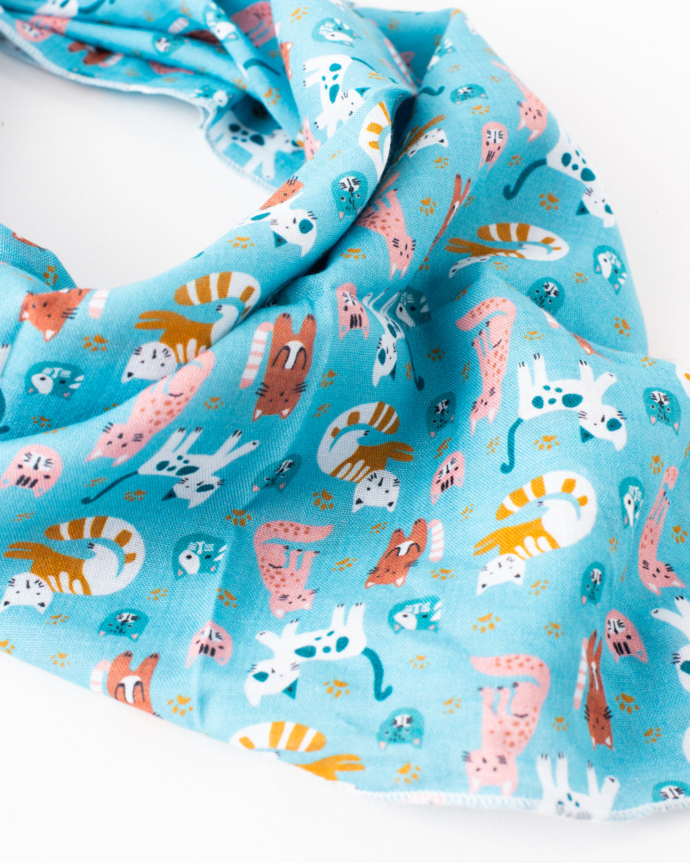 Cat Nap Bandana