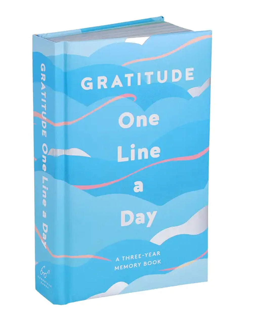 Gratitude One Line a Day Book