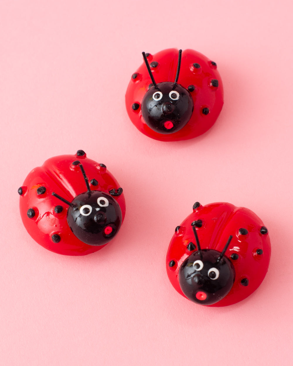 Silly Ladybug Magnet