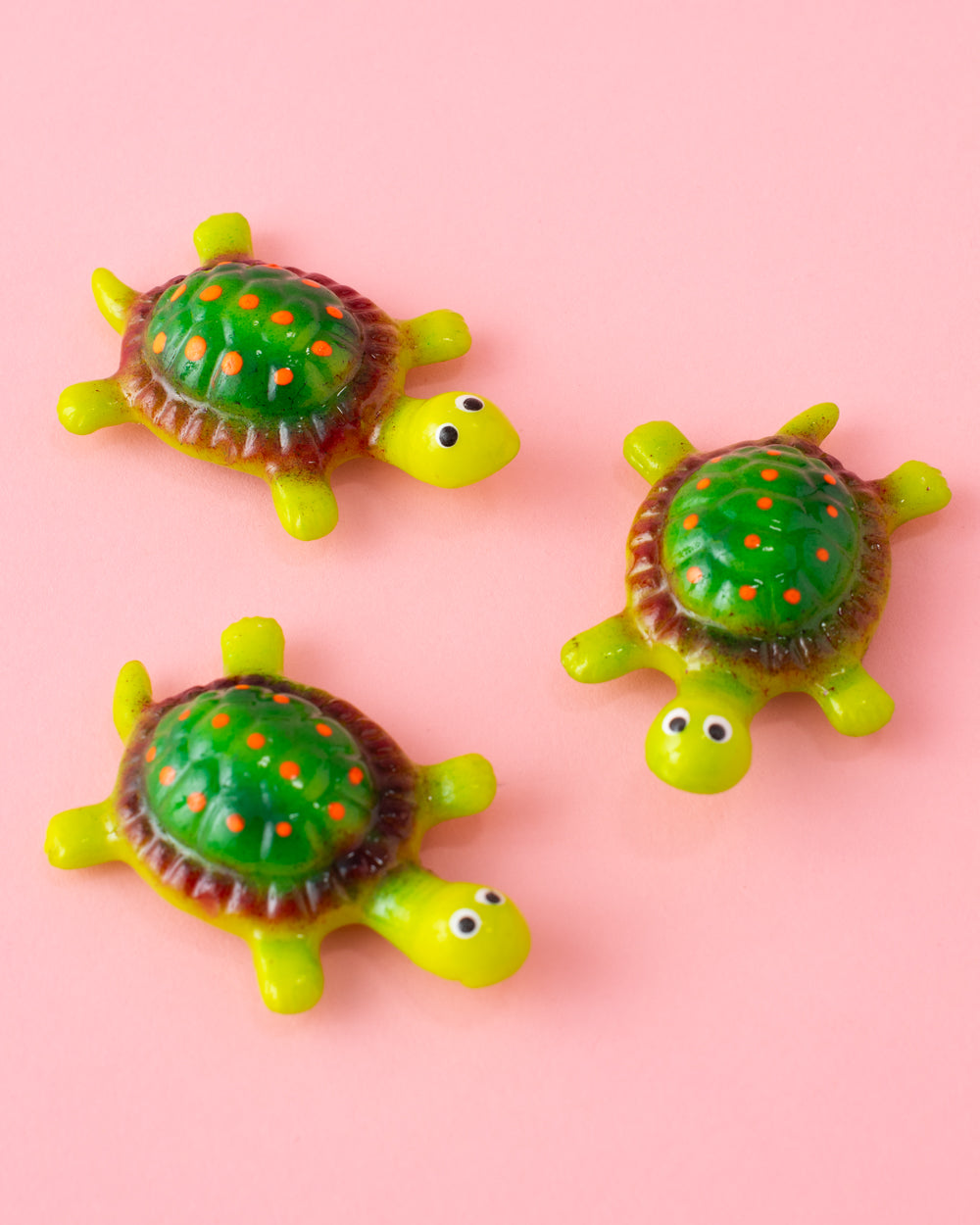 Turtle Magnet