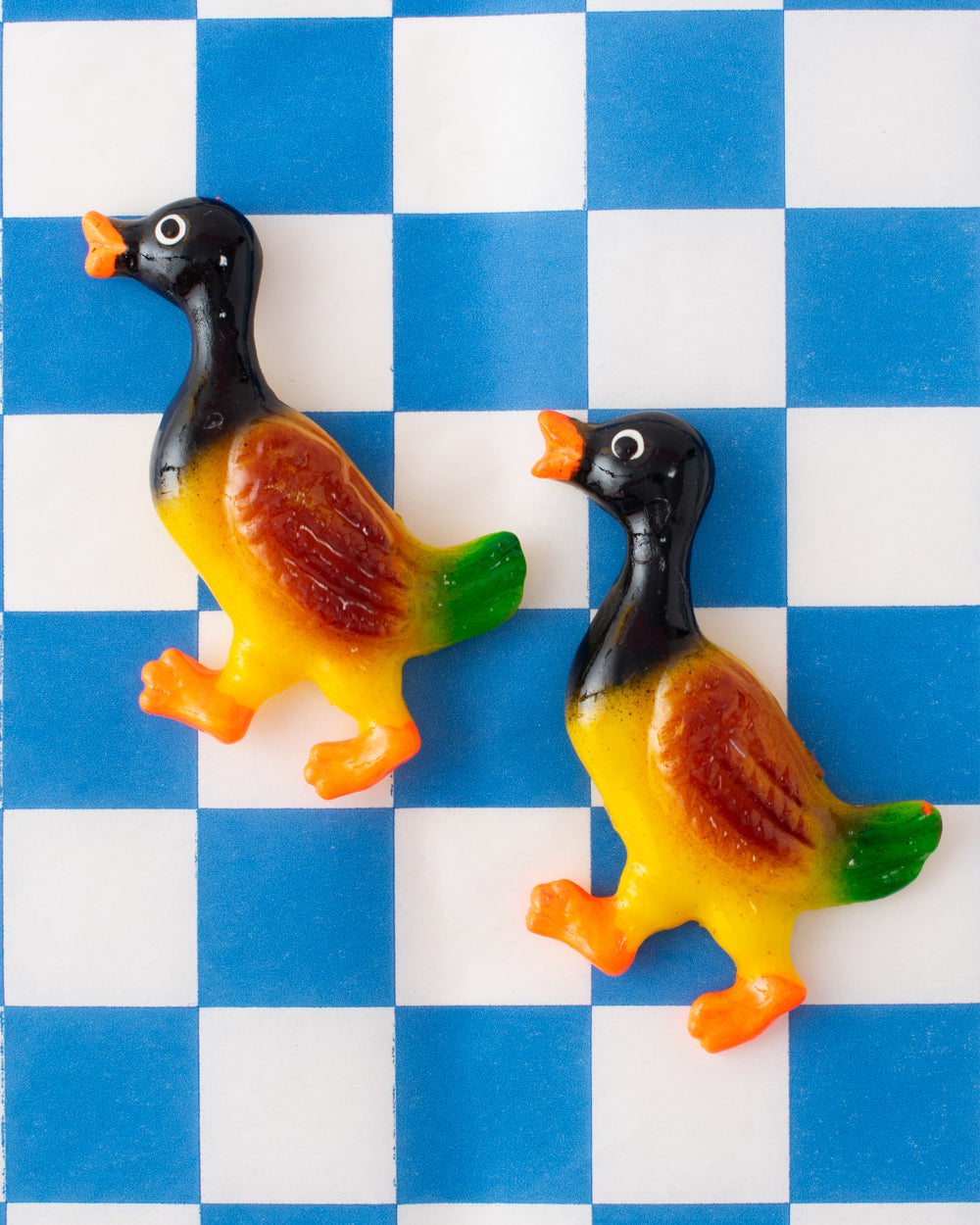 Ducky Magnet