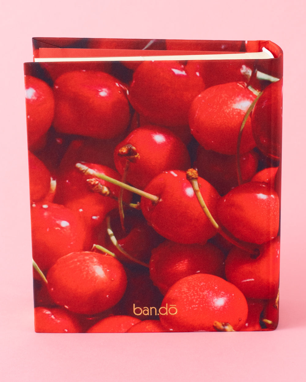 Retro Cherry Heart Photo Album