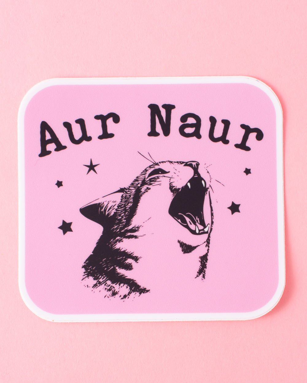 Aur Naur Cat Sticker