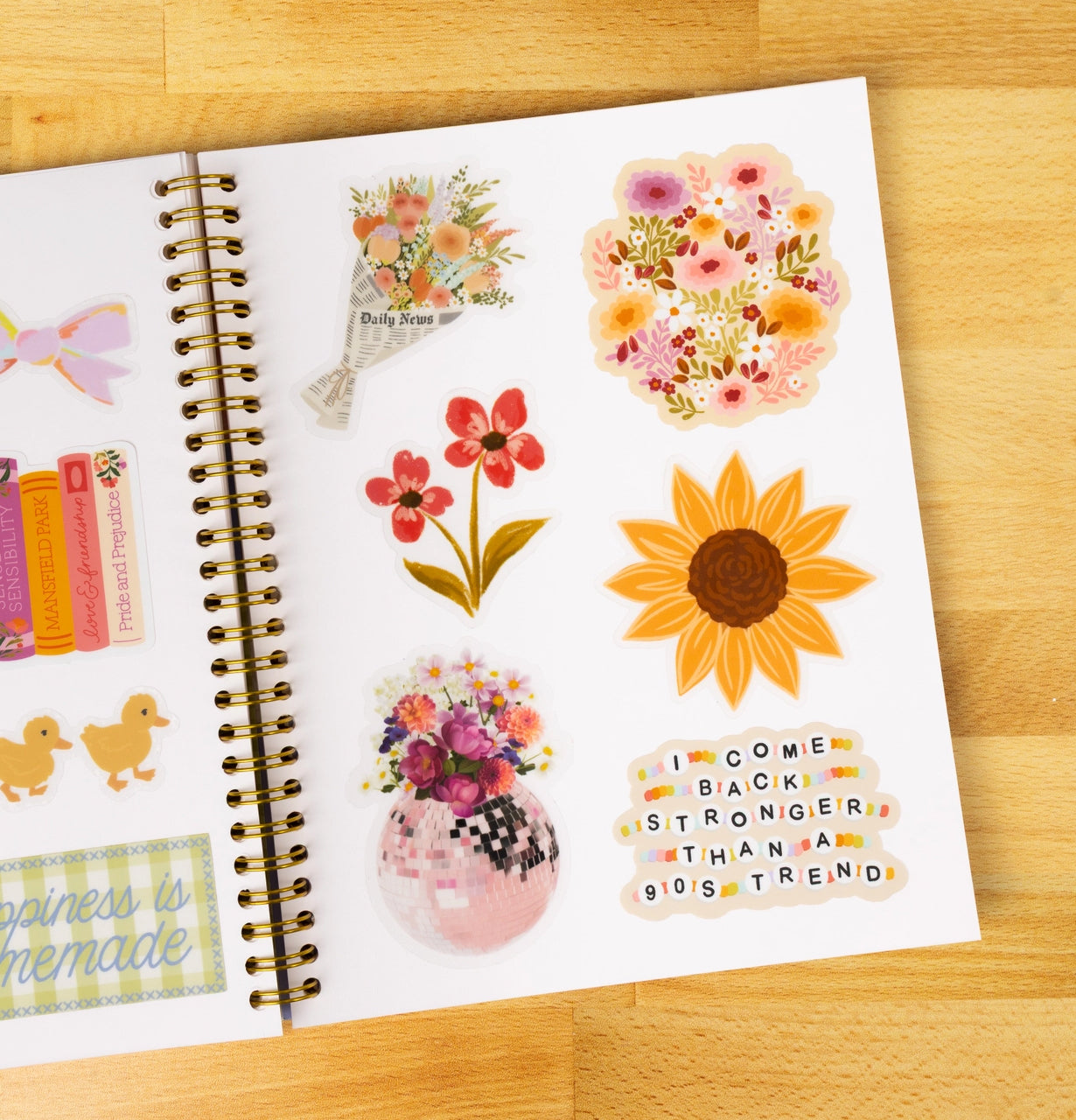 Reusable Sticker Book