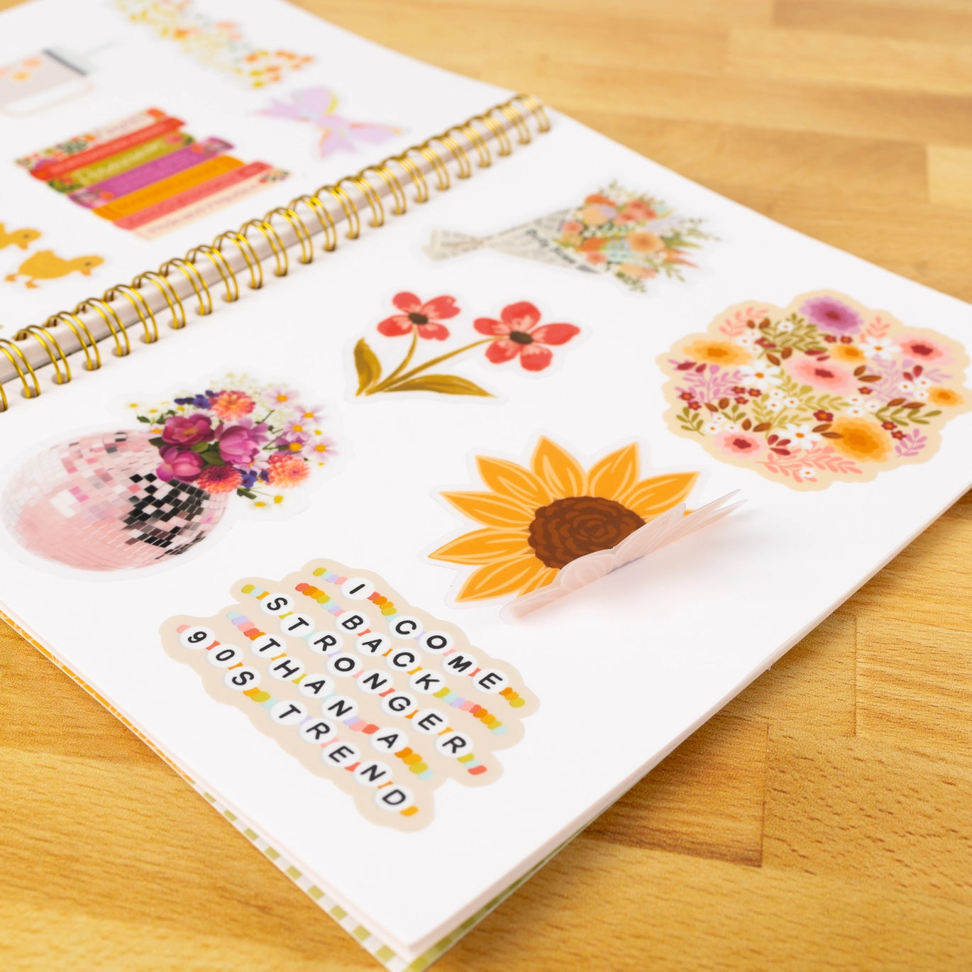 Reusable Sticker Book