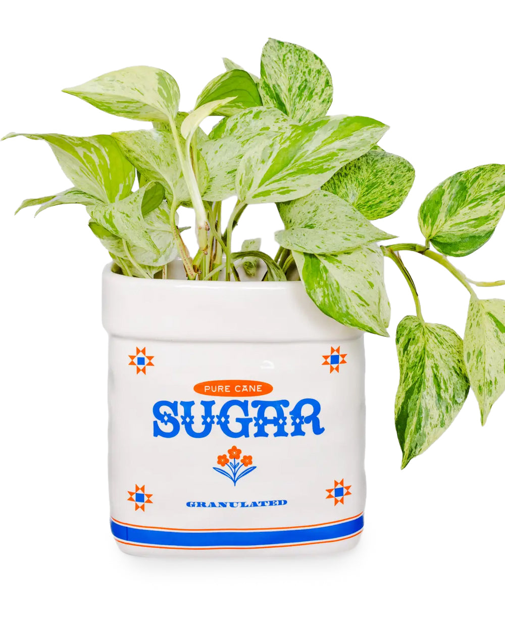 Sugar Jar Novelty Planter