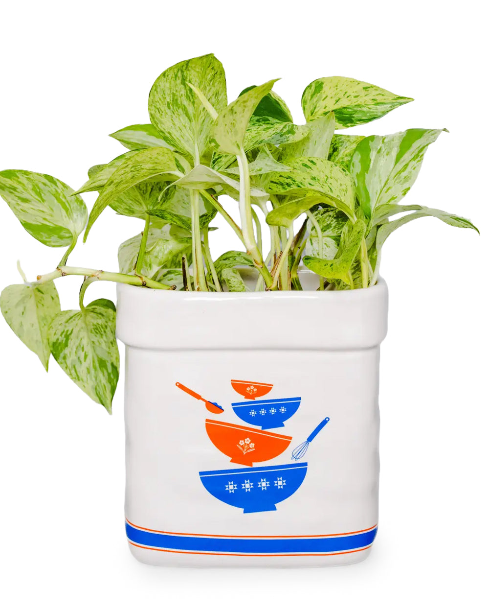 Sugar Jar Novelty Planter