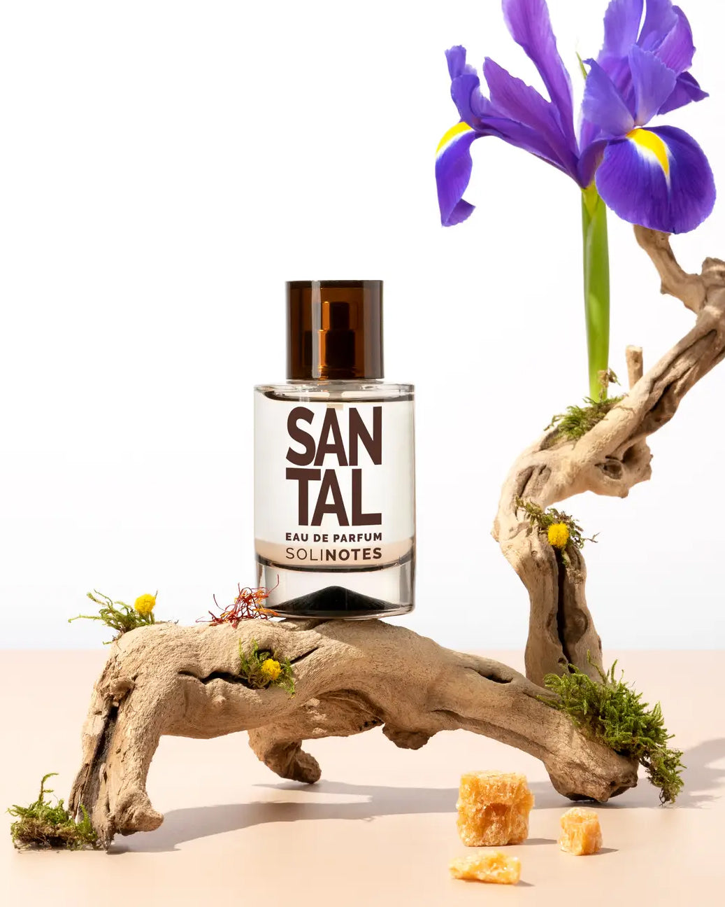 Summer Solinotes Perfume