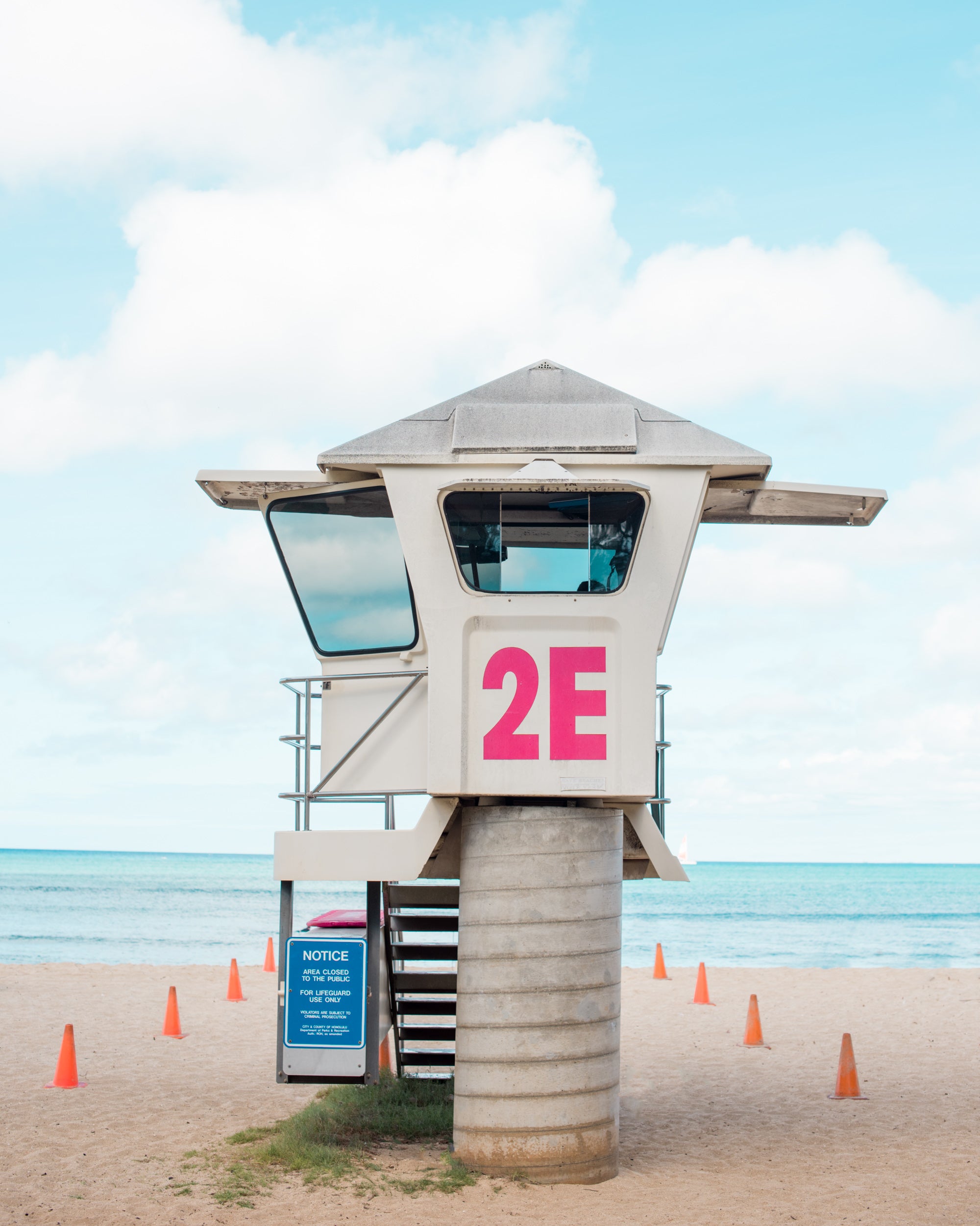 Pink Patrol Print