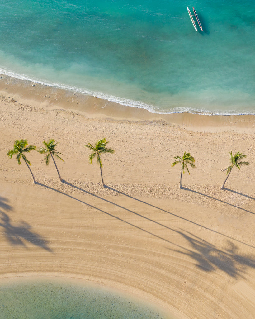 Tropical, warm, summer, Hawaii photography art print for your home. Palm trees, ocean, water, wall art, photography art print. 