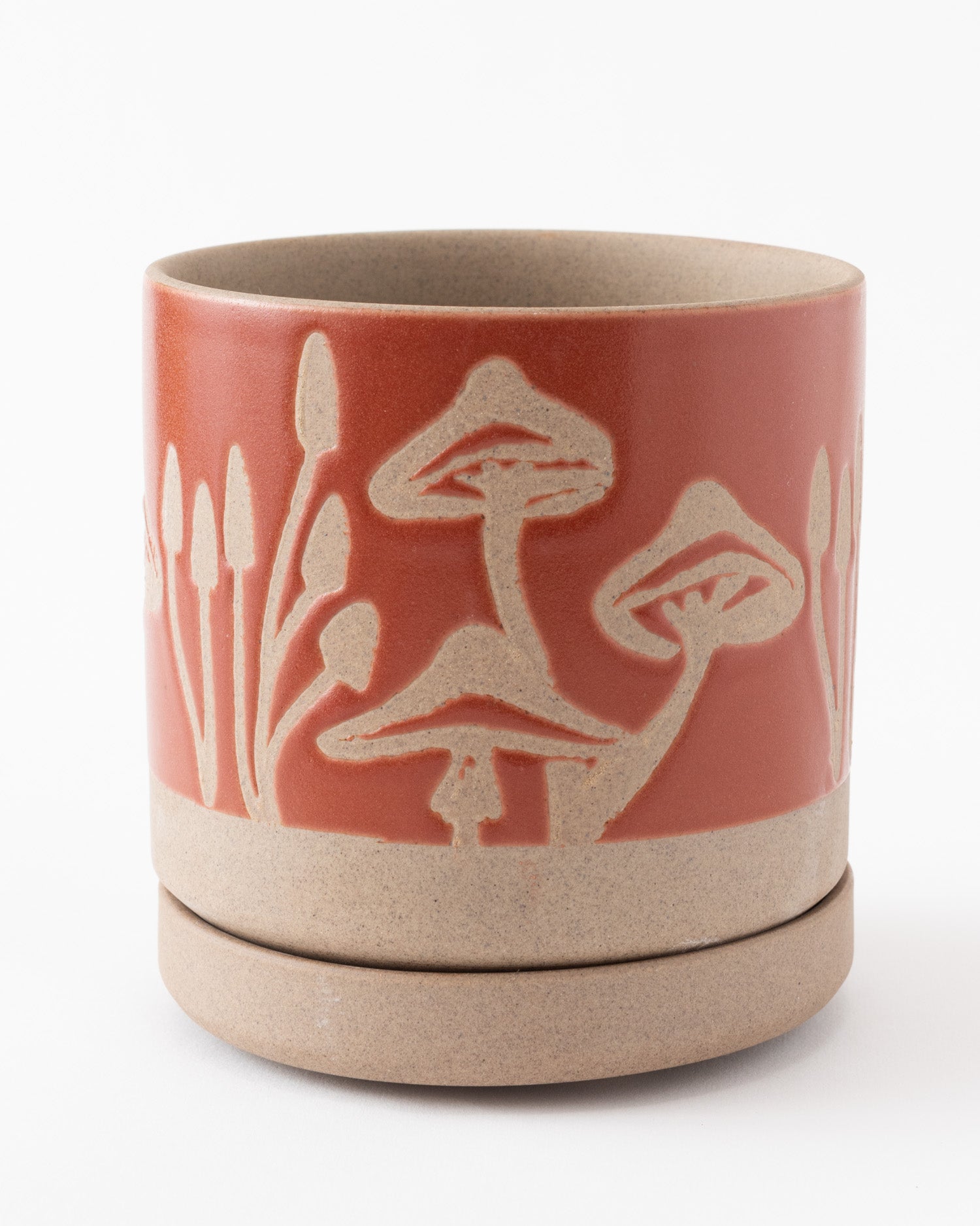 Scavenger Mushroom Pot