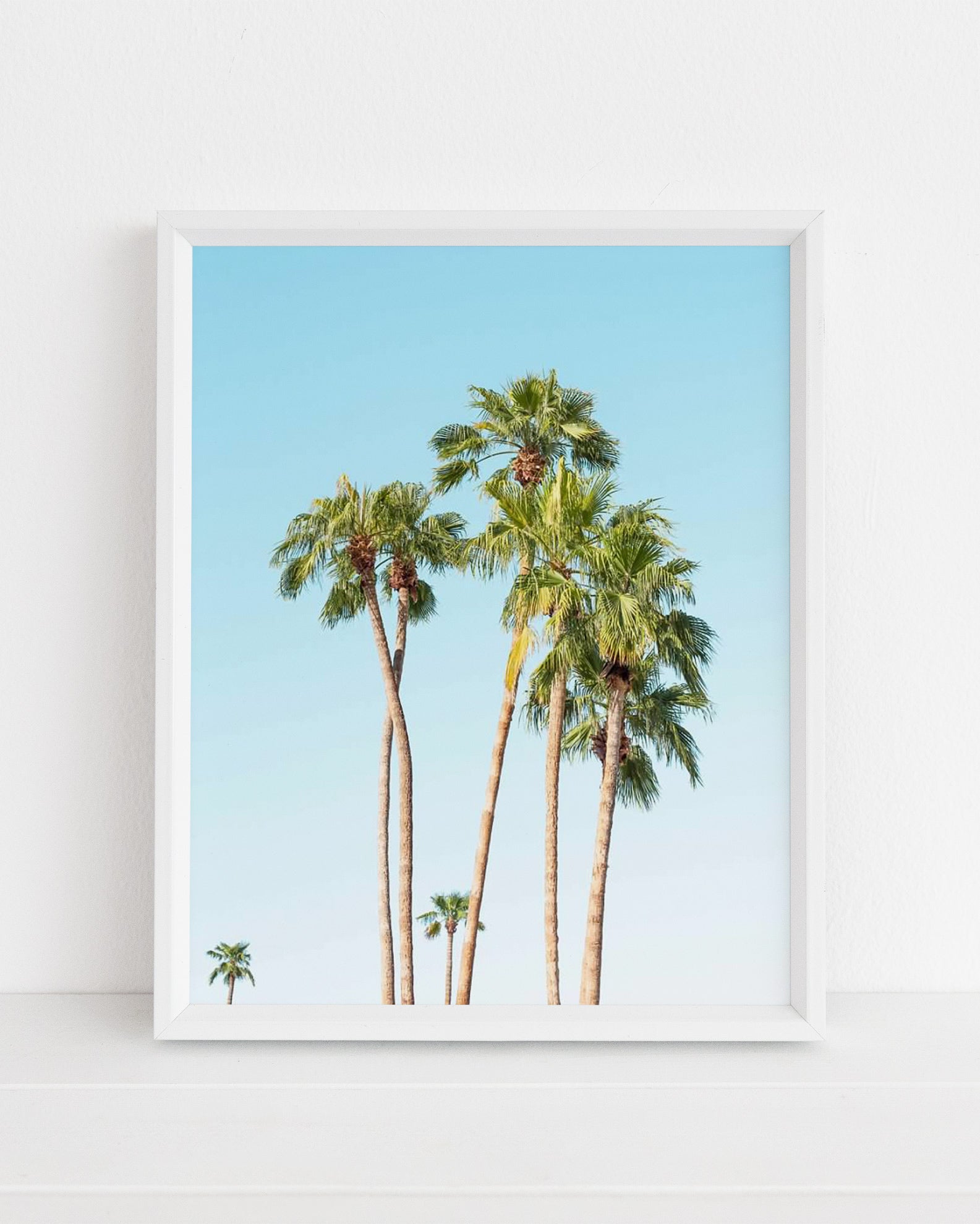 Palm Paradise Print