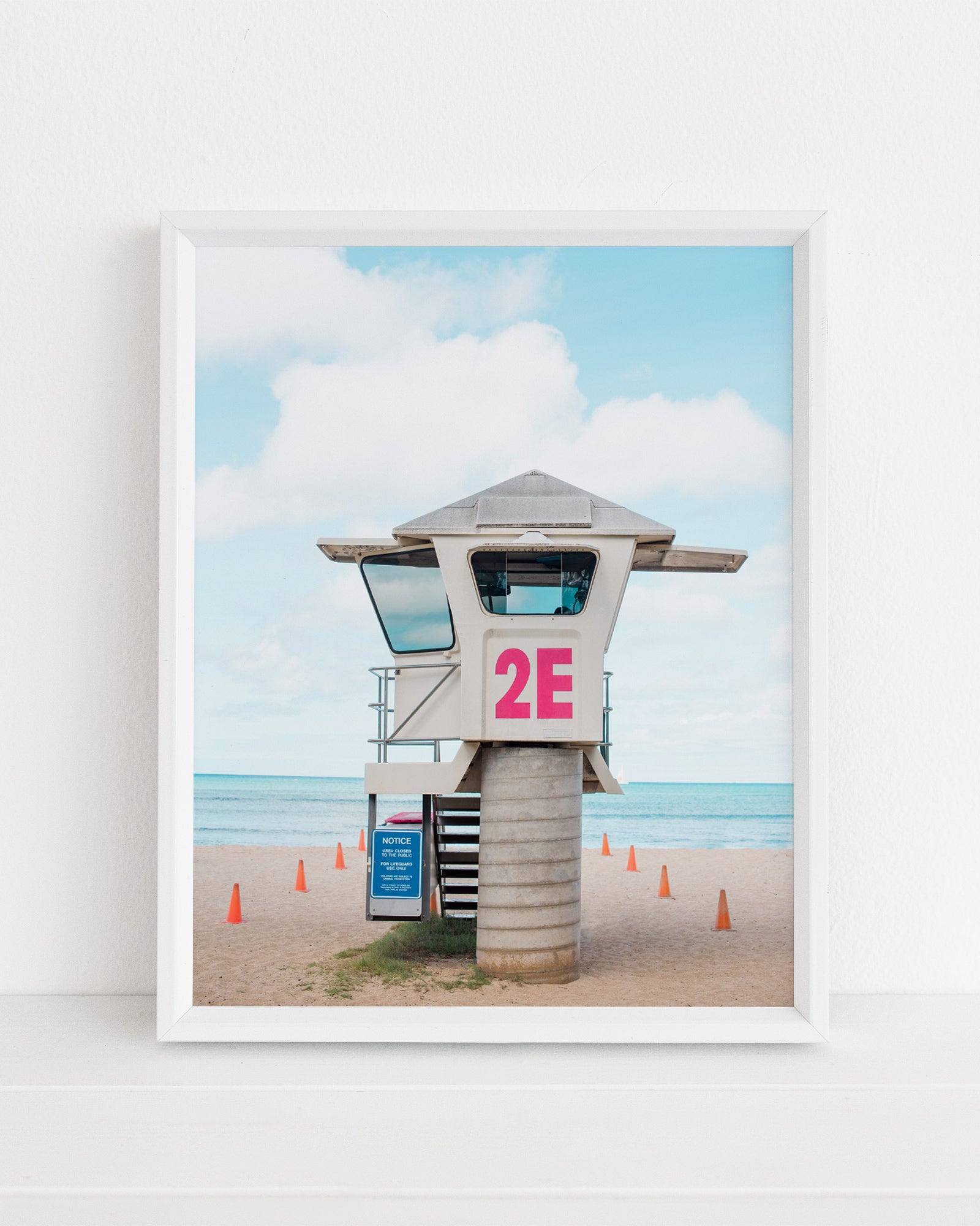 Pink Patrol Print