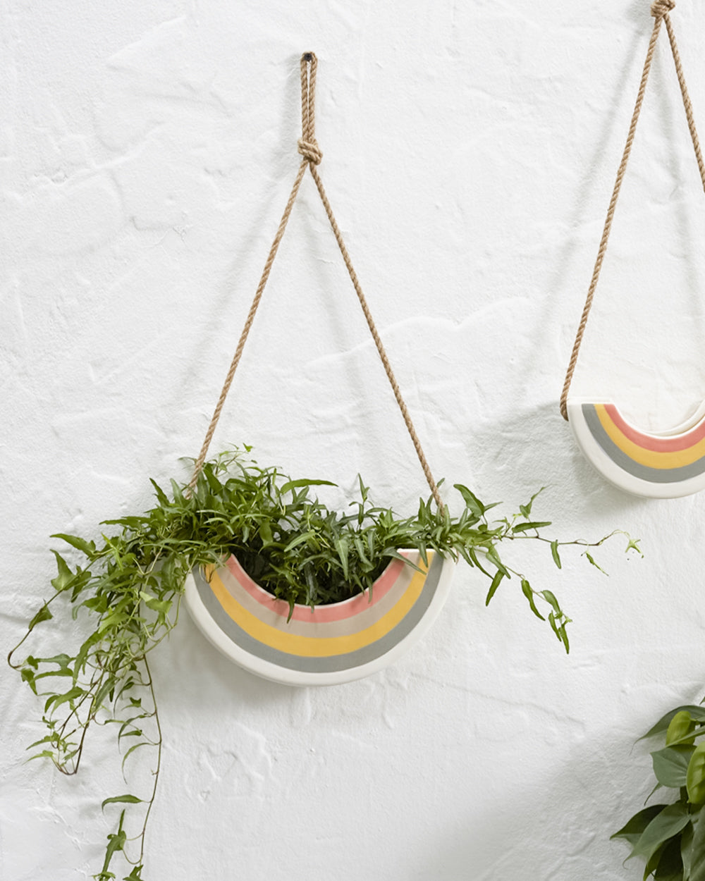 Hanging Rainbow Planter